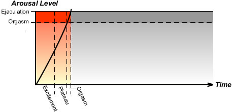 Stages of arousal with premature ejaculation